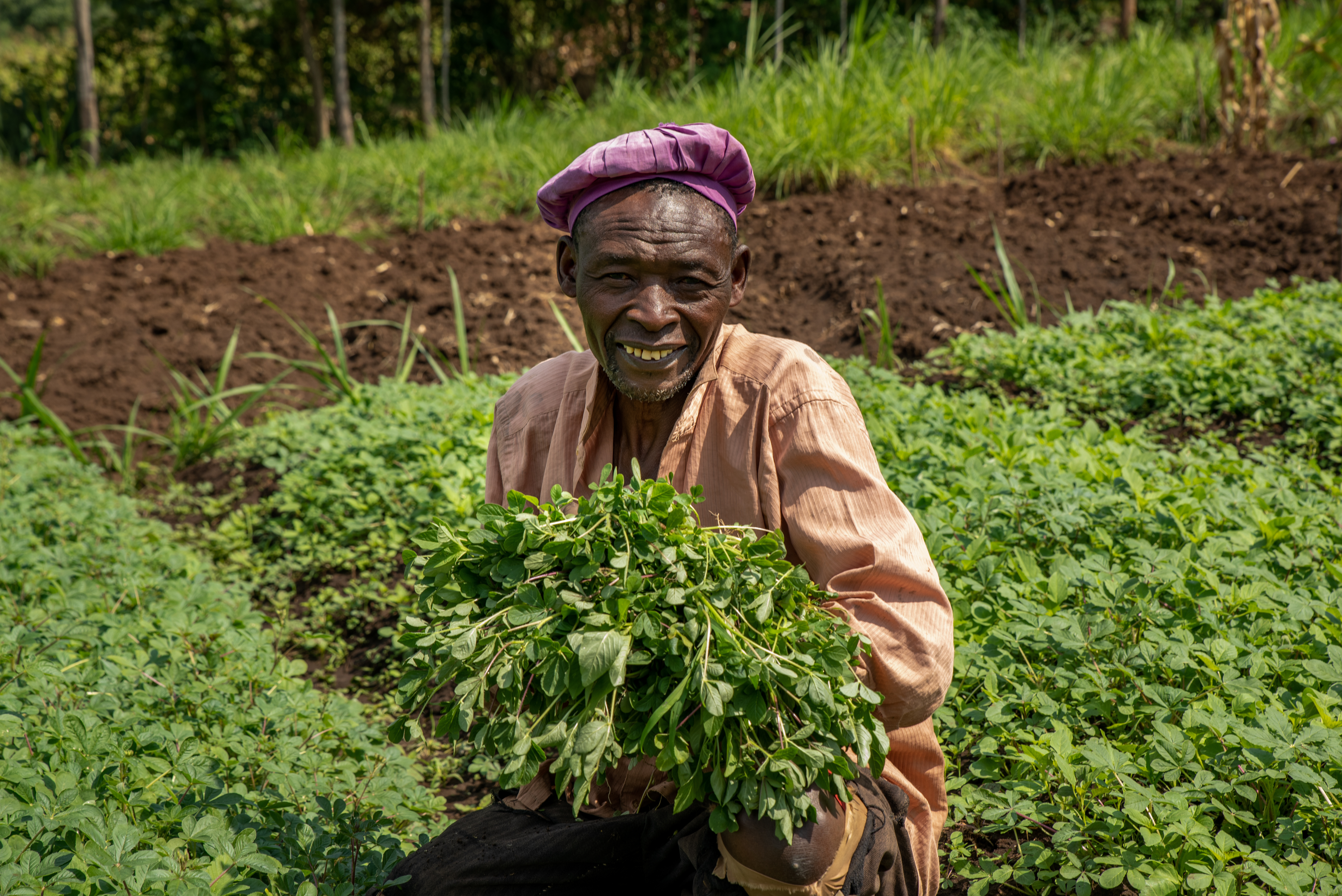 African Leafy Vegetables: Nutrient Powerhouses Boosting Health, Incomes, Soil Productivity and Climate Resilience